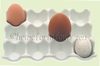 White Ceramic 12 Egg Tray