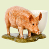 Quail Ceramic - Tamworth Pig With Egg Cup