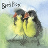 The Bird Box Notecards & Envelopes