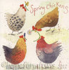 Spring Chickens Card