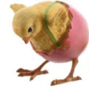 Cute Spring Chick - Pink Egg