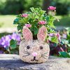 Bunny Rabbit - Rattan Pet Planter