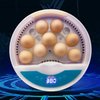 The Mini Disc- 9 Egg Automatic Incubator